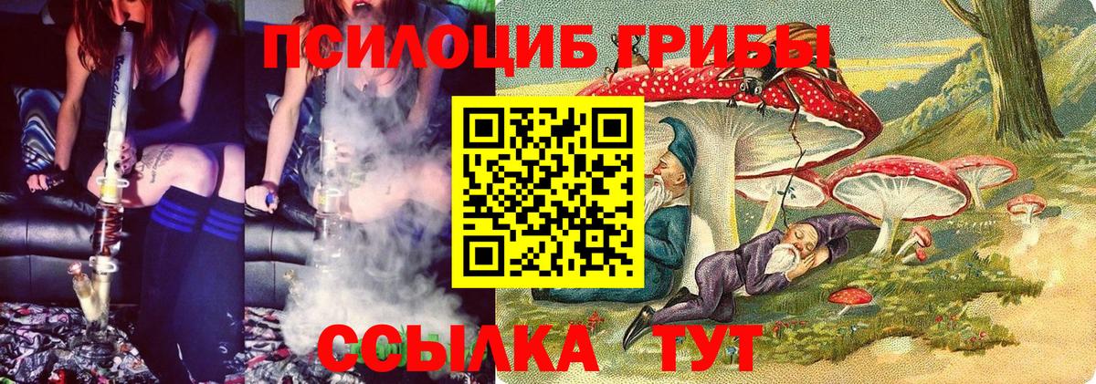 Псилоцибиновые грибы мицелий Лениногорск