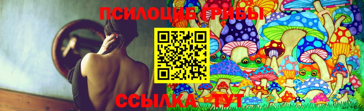 Лениногорск  Псилоцибиновые грибы Psilocybe  Вход с VPN 